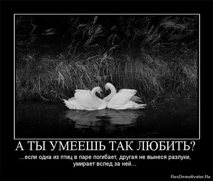 Цитаты про любовь и расставание. Цитаты про любовь расставание. фразы о расставании со смыслом. афоризмы про разлуку про любовь. статусы про расставание.
