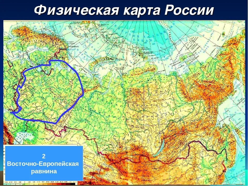 Найдите равнины