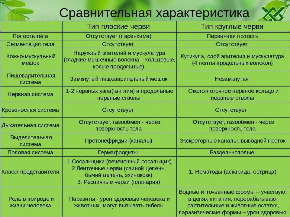 Сравнение строения червей. Биология 7 класс таблица плоские черви круглые черви кольчатые черви. Тип плоские черви общая характеристика 7 класс таблица. Сравнительная характеристика плоских червей биология 7 класс. Пищеварительная система плоских червей 7 класс биология таблица.