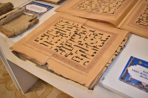 Сүйкімді және әдемі жалаңаш қыздар трахнала бастады