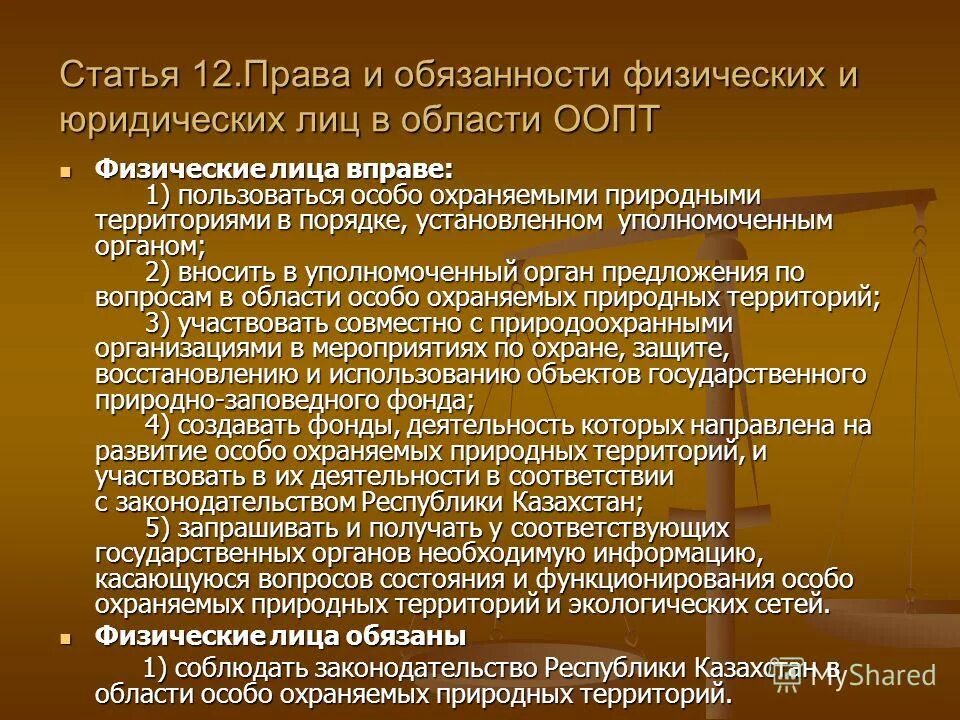 Истребование документов у контрагентов. Новостной повод это. Продавец покупатель и агент. Обязанности физических лиц. Сообщение о загрузке рейса.