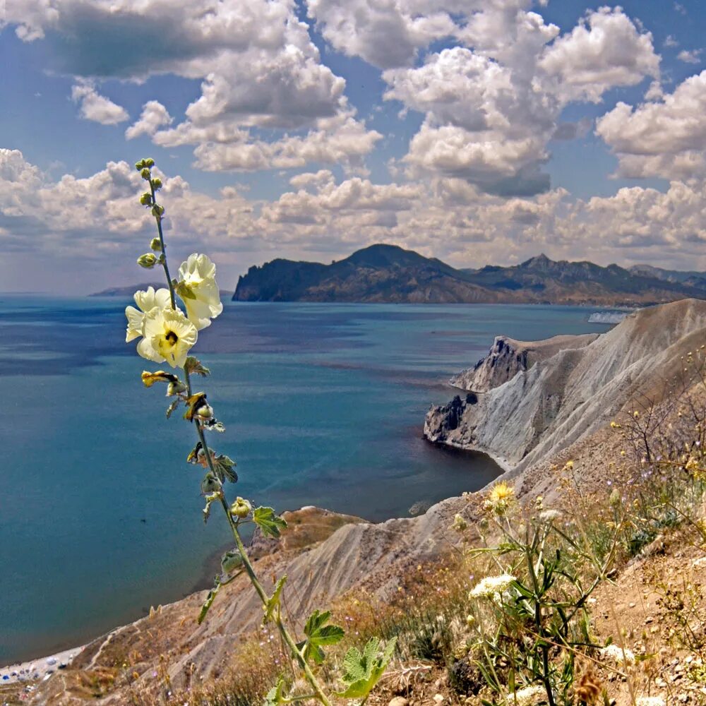 День крыма фото. Крымский полуостров Коктебель. Бухта Калабатка Крым. Коктебель горы море.