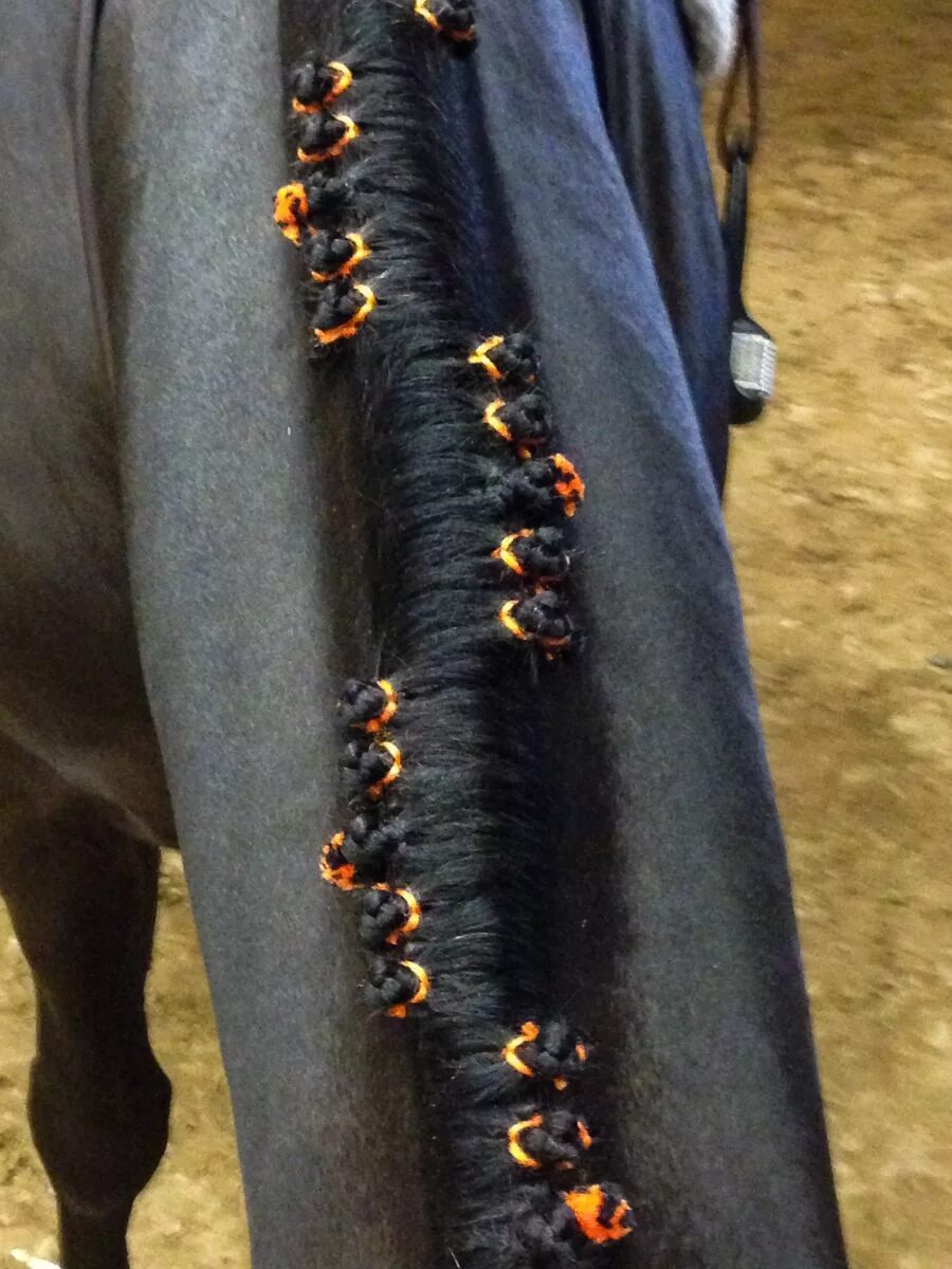 Ласка заплетает лошадям. Ласка заплетает лошадям. Ласка плетет косички. Лошадь с косичками. Лошадь с косичками.