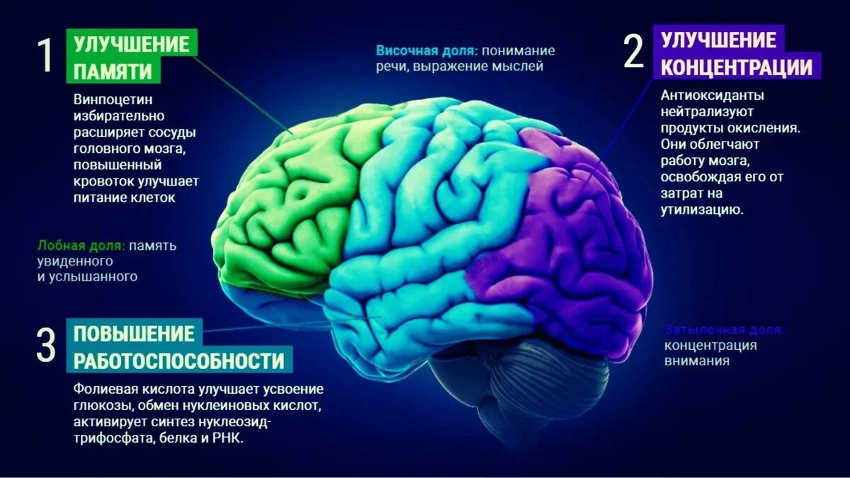 Программы освобождающие память. Улучшить память и работу мозга. для улучшения памяти и работы. мозг память. мозг улучшение памяти.