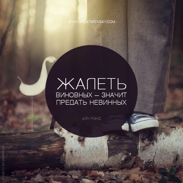 Что значит виновен