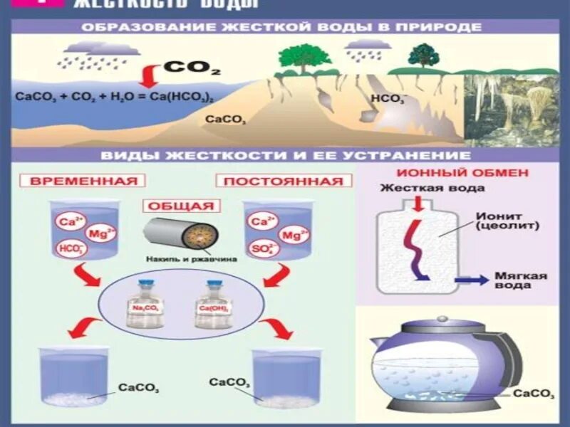 Образование жесткой воды. Жесткая вода. Образование жесткости воды в природе. Признаки жестокости воды.