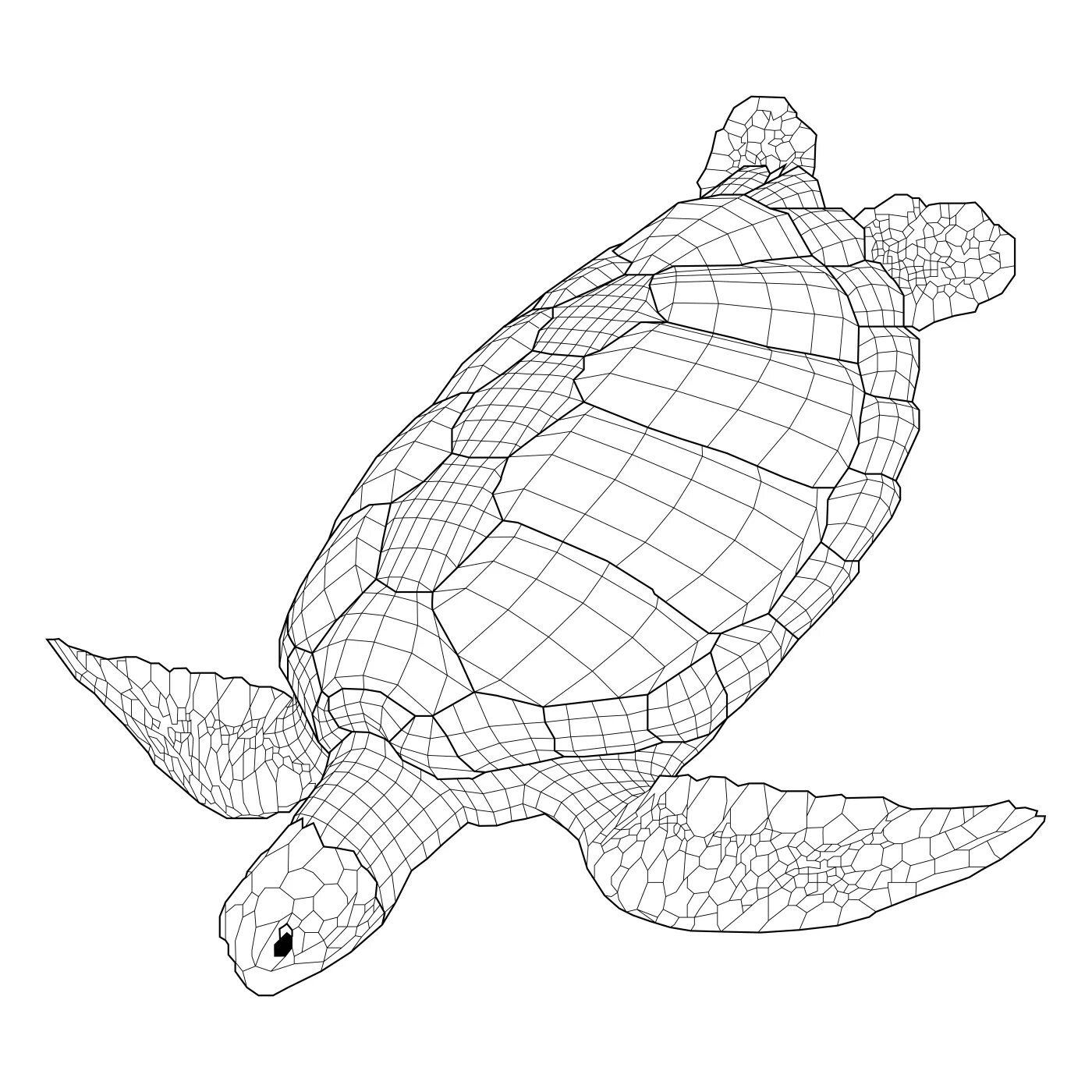Морская черепаха рисунок. Морская черепаха рисунок цветными карандашами. Лоу Поли черепаха. Нарисовать морскую черепаху карандашом поэтапно.