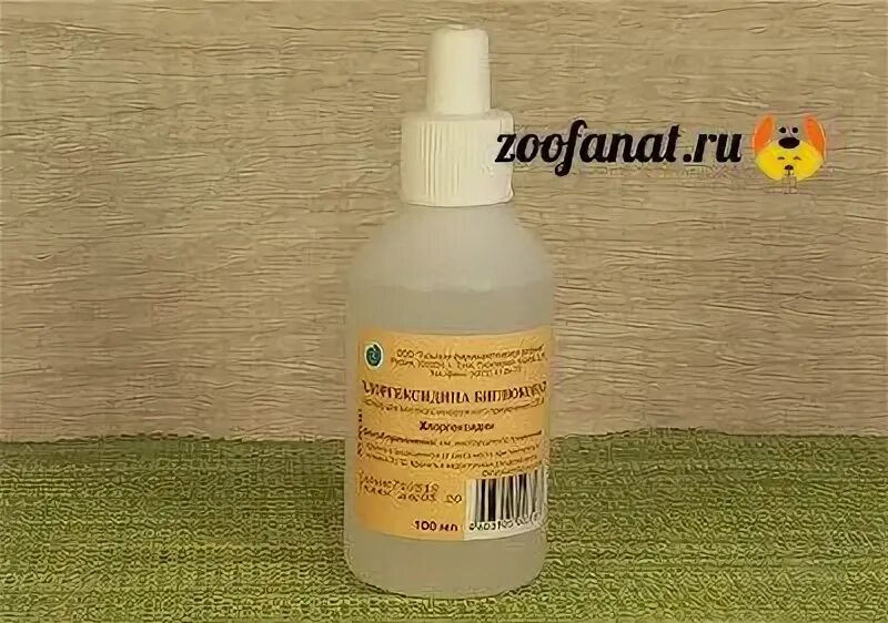Можно ли промывать глаз коту хлоргексидином. Можно ли промывать глаз коту хлоргексидином. Капли для глаз хлоргексидин. Можно ли промывать глаз коту хлоргексидином. Водный раствор хлоргексидина для кошек.