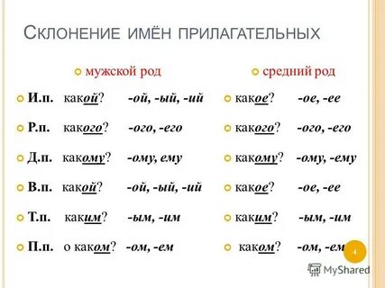 Окончание имен прилагательных мужского рода