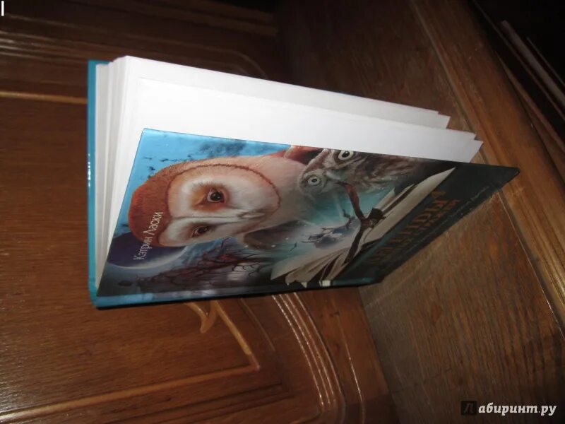 страж книга 4