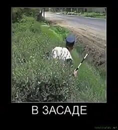 В засаде прикол. Сидит в засаде прикол. Засада Мем.