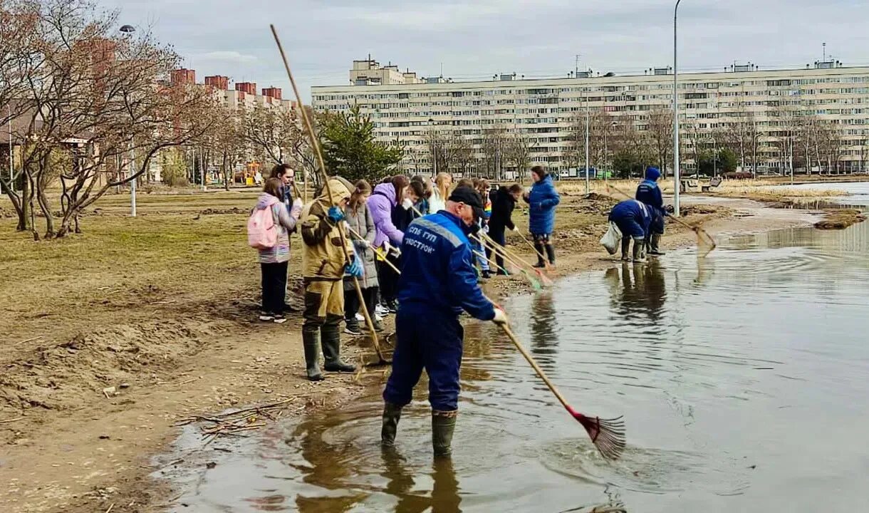 Нет воды спб сегодня. Очищение водоемов. Волонтеры по очистке водоемов.