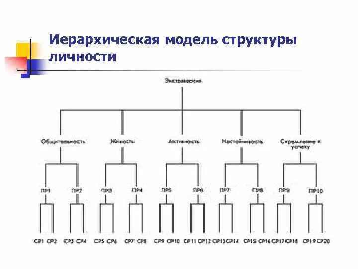 Модель иерархической структуры. Иерархическая модель Айзенка. Иерархическая модель структуры личности. Айзенк иерархическая модель. Г Айзенк иерархическая модель личности.