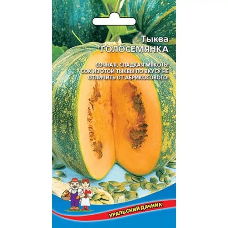 Штирийская голосемянная тыква. Купить семена тыквы даная. Тыква даная голосемянная. Тыква твердокорая даная. Тыква голосемянная юнона.