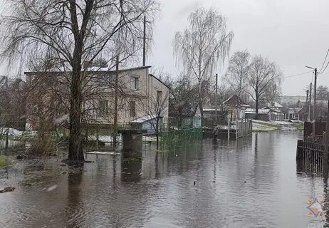 Под гомелем