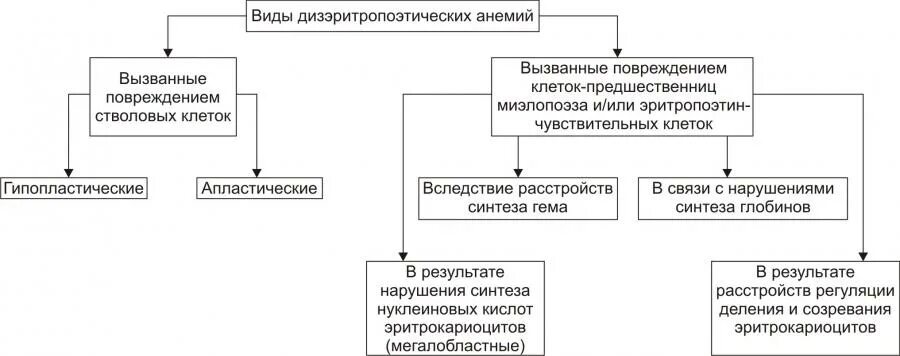 Дизэритропоэтические анемии. Виды ДИЗЭРИТРОПОЭТИЧЕСКИХ анемий. Формы ДИЗЭРИТРОПОЭТИЧЕСКИХ анемий. Причины ДИЗЭРИТРОПОЭТИЧЕСКИХ анемий патофизиология.