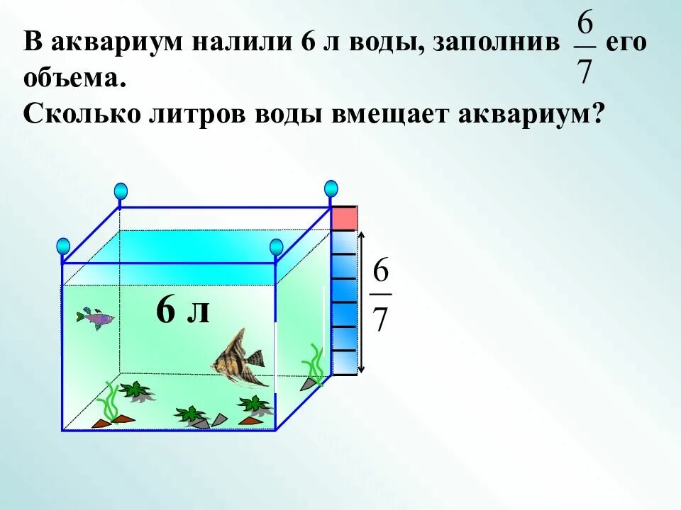 1 6 литра воды это сколько. Объем аквариума. В аквариум налили 6 литров воды. Объем воды в аквариуме. Аквариумы на 6 литров воды.