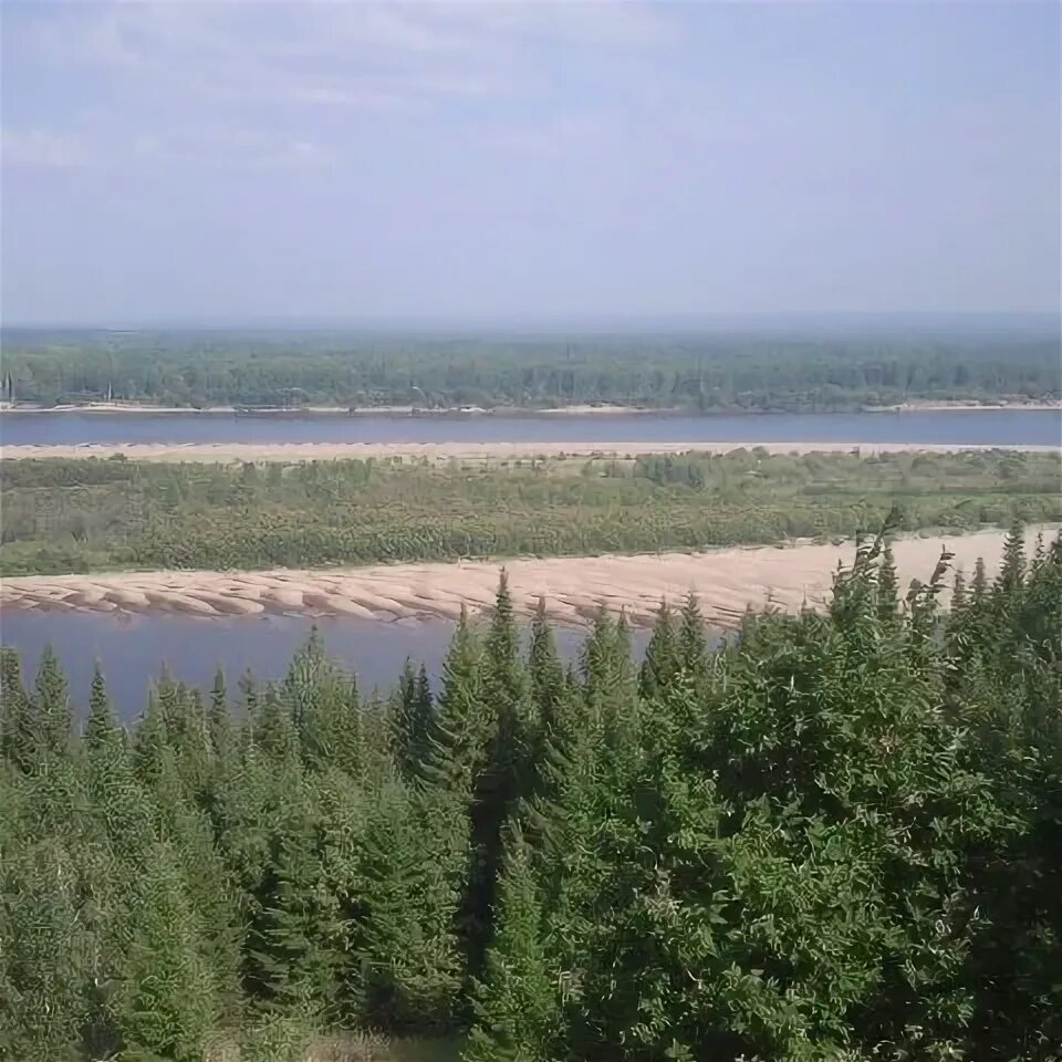 Толстик. Толстик