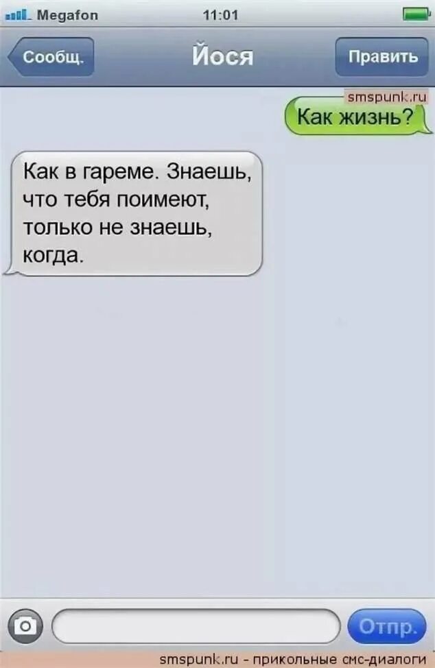 Смс приколы. Как жизнь? Смс. Скучаю смс мужчине прикольные. Как жизнь что ответить с юмором.