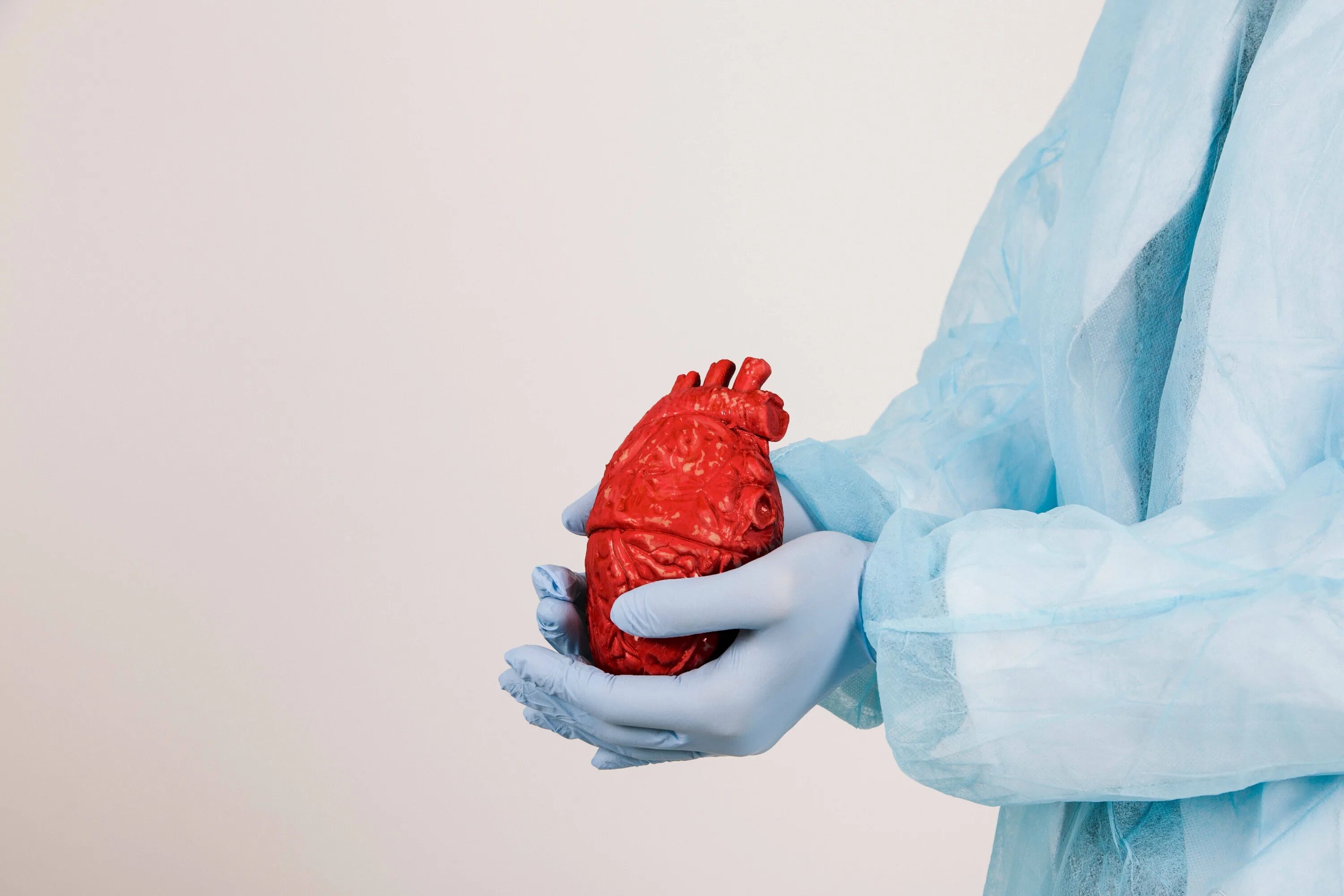 Сердце человека и доктор. Фотография человеческого сердца. Кардиохирургия сердце.