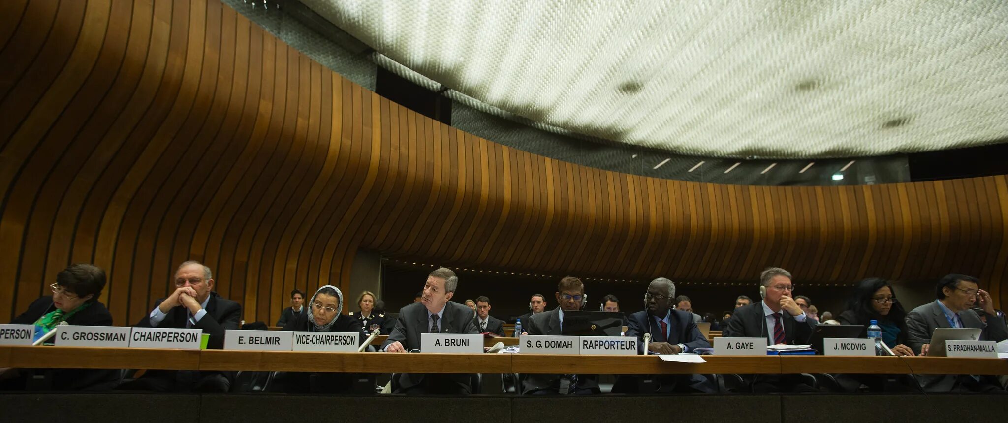 Комитет против пыток ООН. Комитеты ООН. Комитет против пыток ООН эмблема. Комитет против пыток ООН заседание.