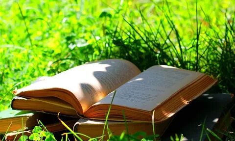 Книга природы картинка