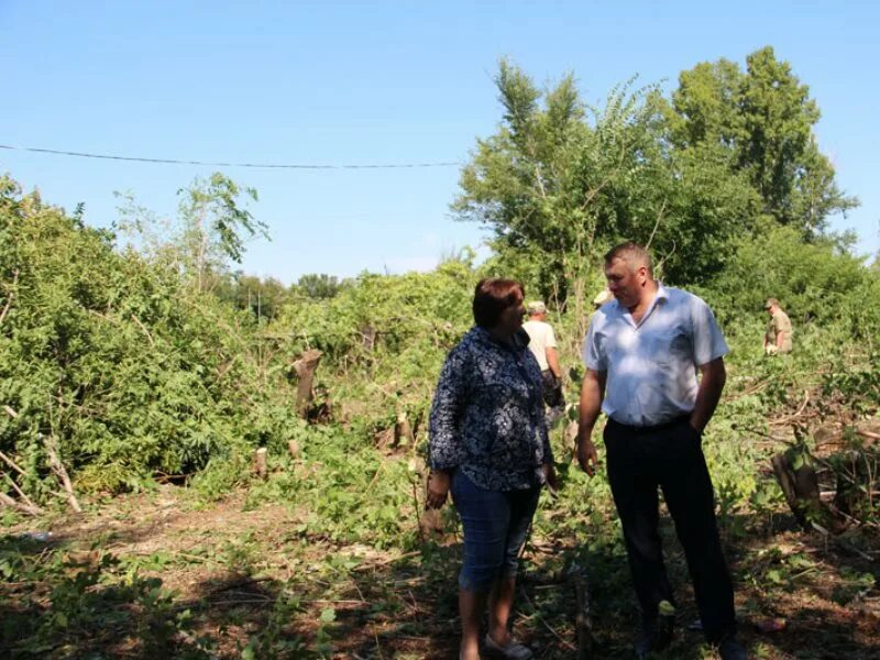 Погода в приобском алтайский край быстроистокский