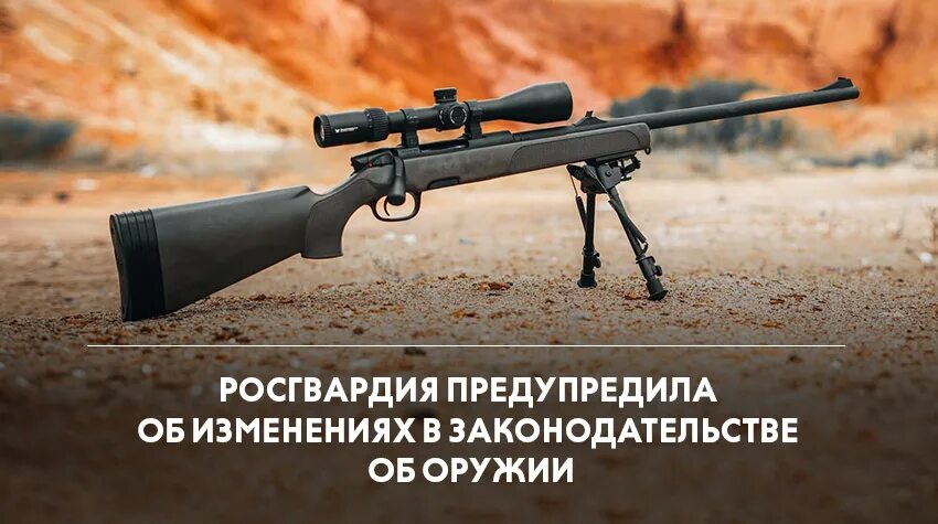 Поправки в закон об оружии 2025