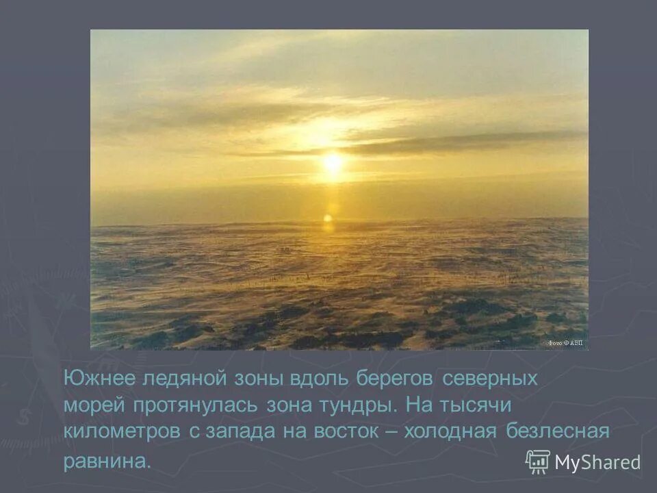 субтропики в россии географическое положение на карте. зона расположена вдоль побережья морей. природные зоны северных ледовитых океанов. зона расположена вдоль побережья морей. природные условия субтропиков.