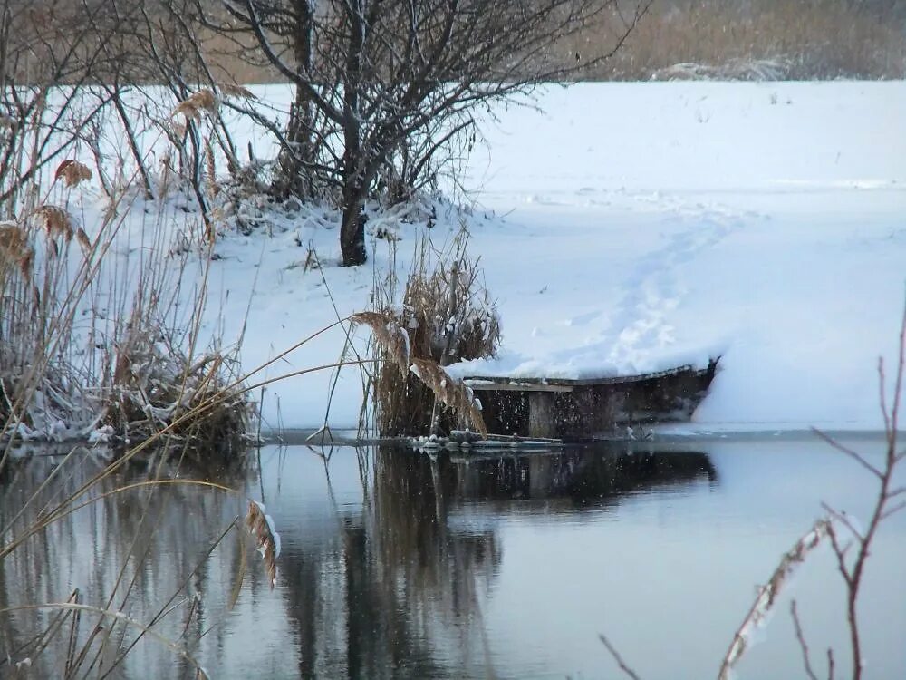 Погода в нижнем икорце. Средний Икорец пейзажи. Верхний Икорец. Река Икорец Воронежская область. Нижний Икорец река.