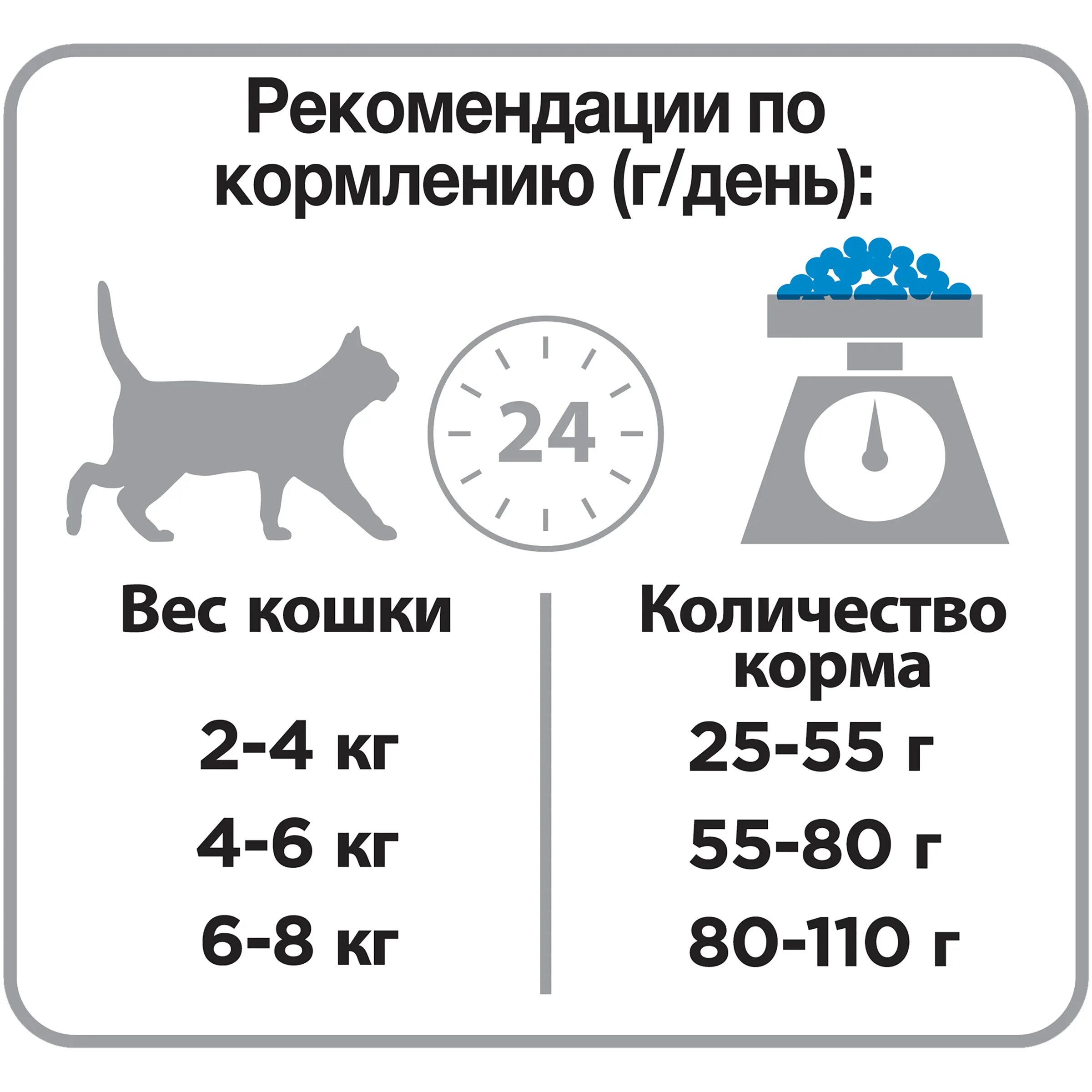 Сколько раз в день кормить кастрированного кота. Для стерилизованных котов нормы кормлениями. норма сухого корма для кота кастрата. советы по кормлению кошки. нормы кормления кастрированного кота.