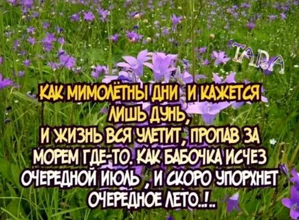 День лета статусы