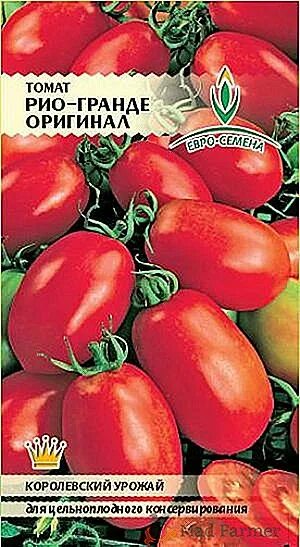 Урожайность томата рио гранд. Сорт томата Рио Гранде. Сорт помидора Рио Гранд. Семена томат Рио Гранде оригинал. Томат сорт Рио Гранде оригинал.