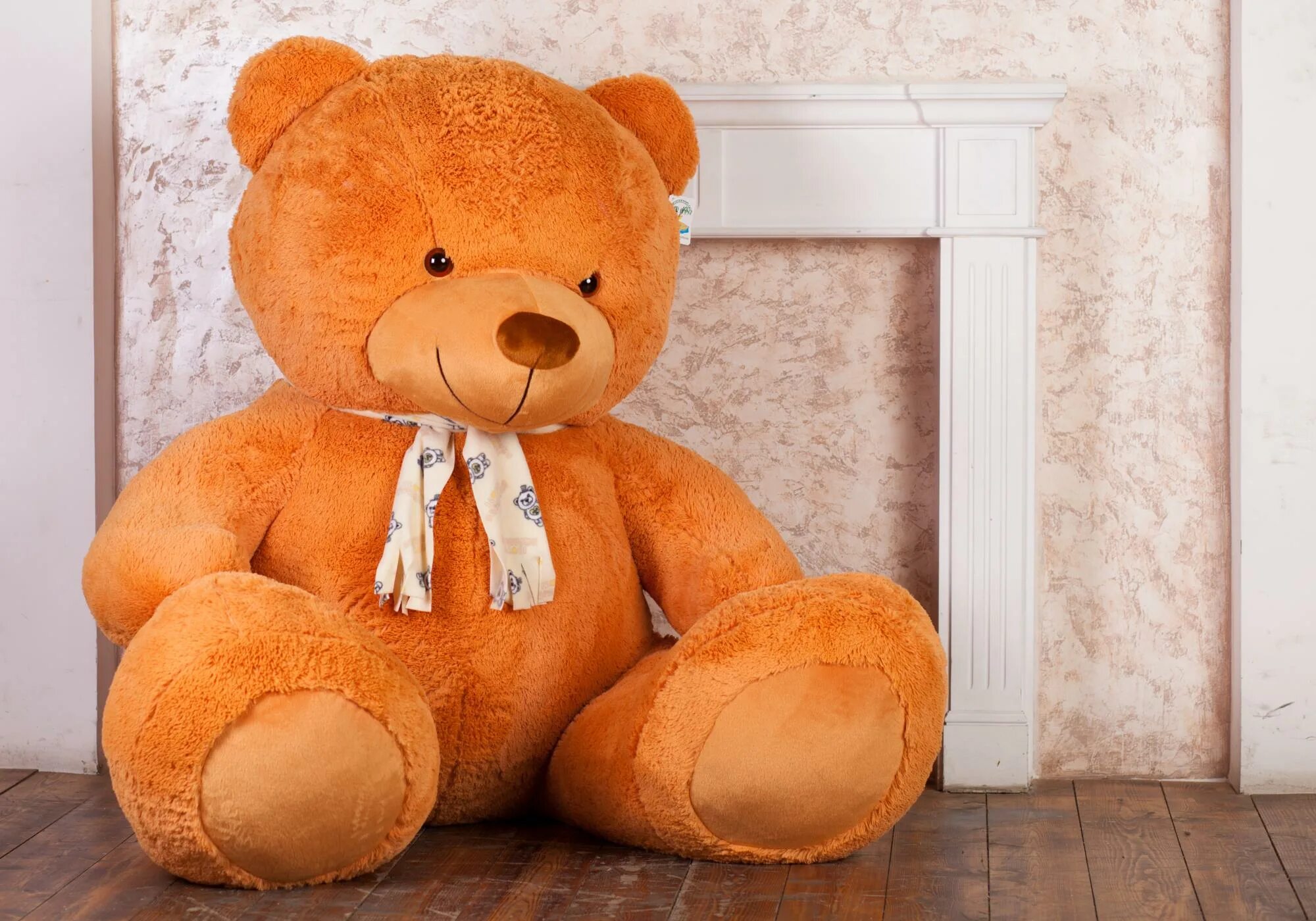 I m teddy bear