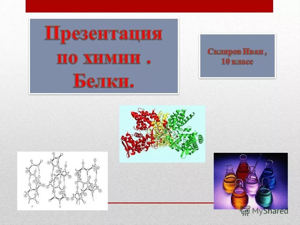 Белки презентация 10 класс химия