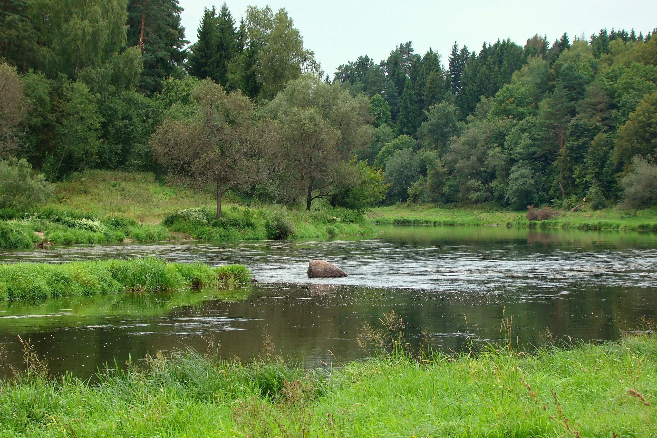 Реки московской области рыбалка. Река Руза Московская область. Тучково река. Москва река Тучково. Тучково река и лес.
