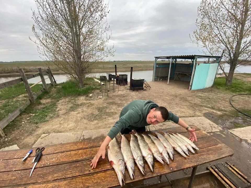 Селитренное река Ахтуба. База Ахтуба рыбалка 2022. Селитренное Астраханская Рыбацкая база. Рыбалка в Харабали Селитренное.