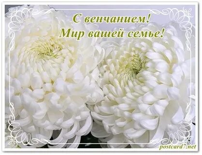 Поздравляю с венчанием своими словами