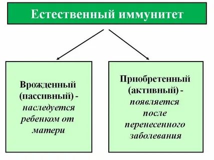 Естественный активный иммунитет возникает после