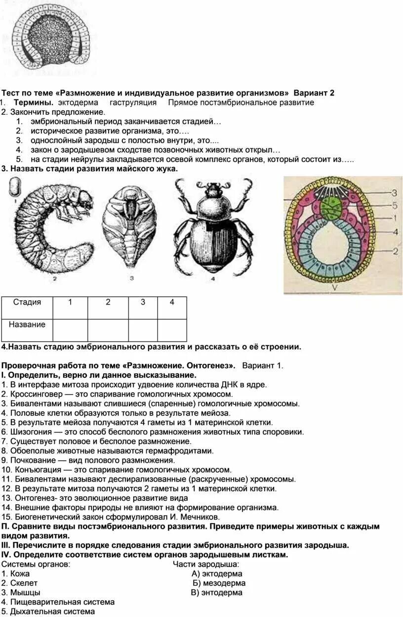 Тест по теме размножение и индивидуальное развитие организмов. Организм размножение и индивидуальное развитие организмов. Тест по теме индивидуальное развитие организмов. Размножение организмов онтогенез.