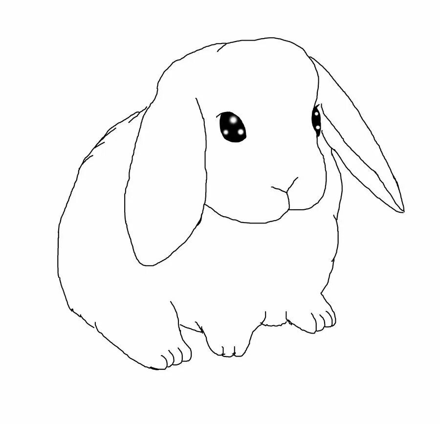 Нарисовать кролика карандашом. Кролик раскраска. Кролик рисунок. Кролик раскраска для малышей. Вислоухий кролик раскраска.