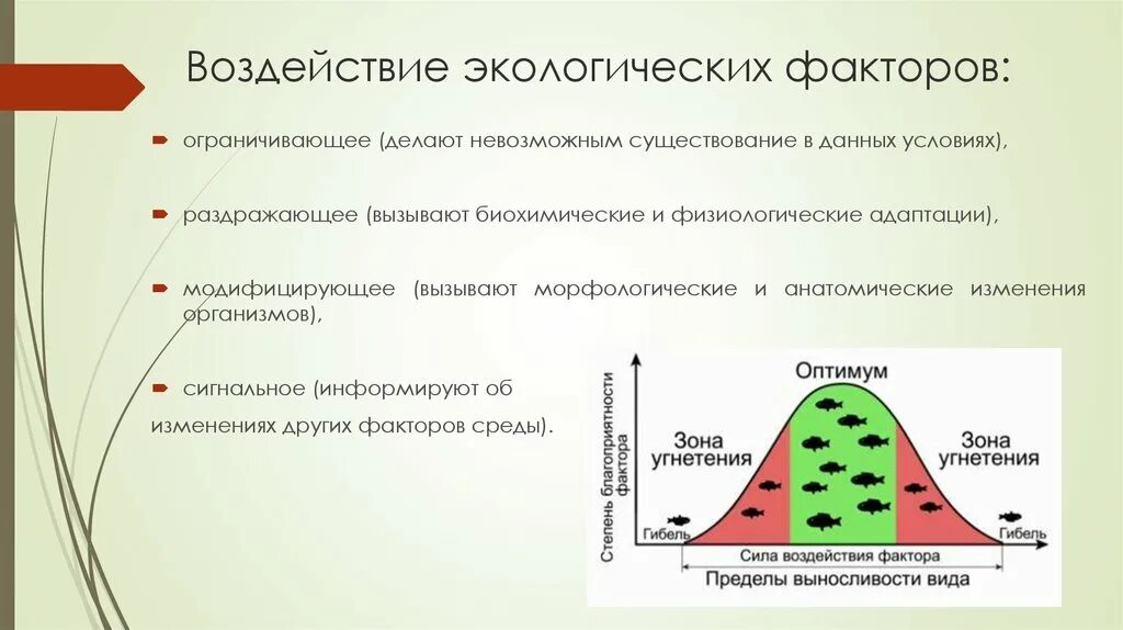 Механизмы действия экологических факторов на организм. Воздействие экологических факторов. Влияние онкологических факторов на организмы. Воздействие экологических факторов на человека. Влияние фактора окружающей среды на организм