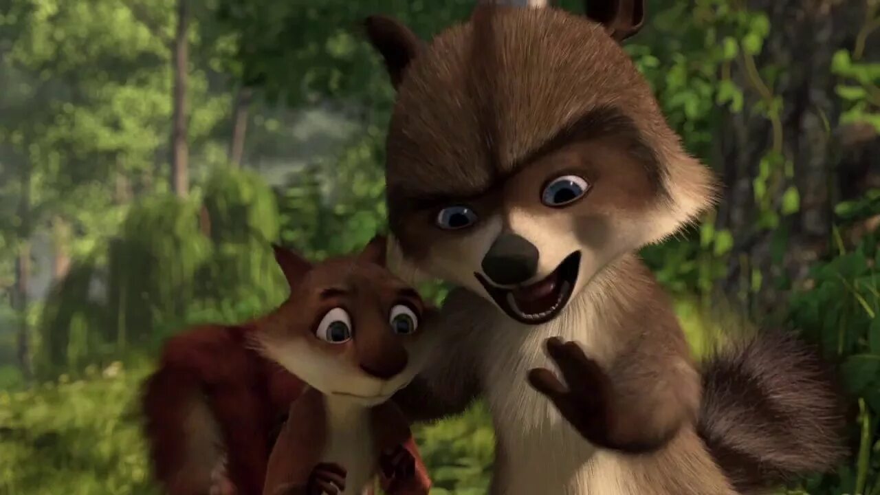 Черепаха белка. Черепаха белка