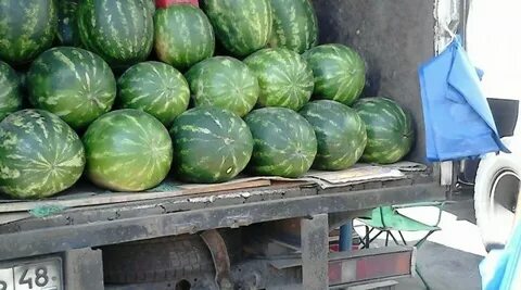 10 кг арбуза