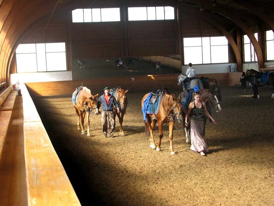 Кск дачный манеж. Тайсуганово конюшня. Манеж для верховой езды. Кск аллюр. Дачный манеж конно-спортивный комплекс чулково.
