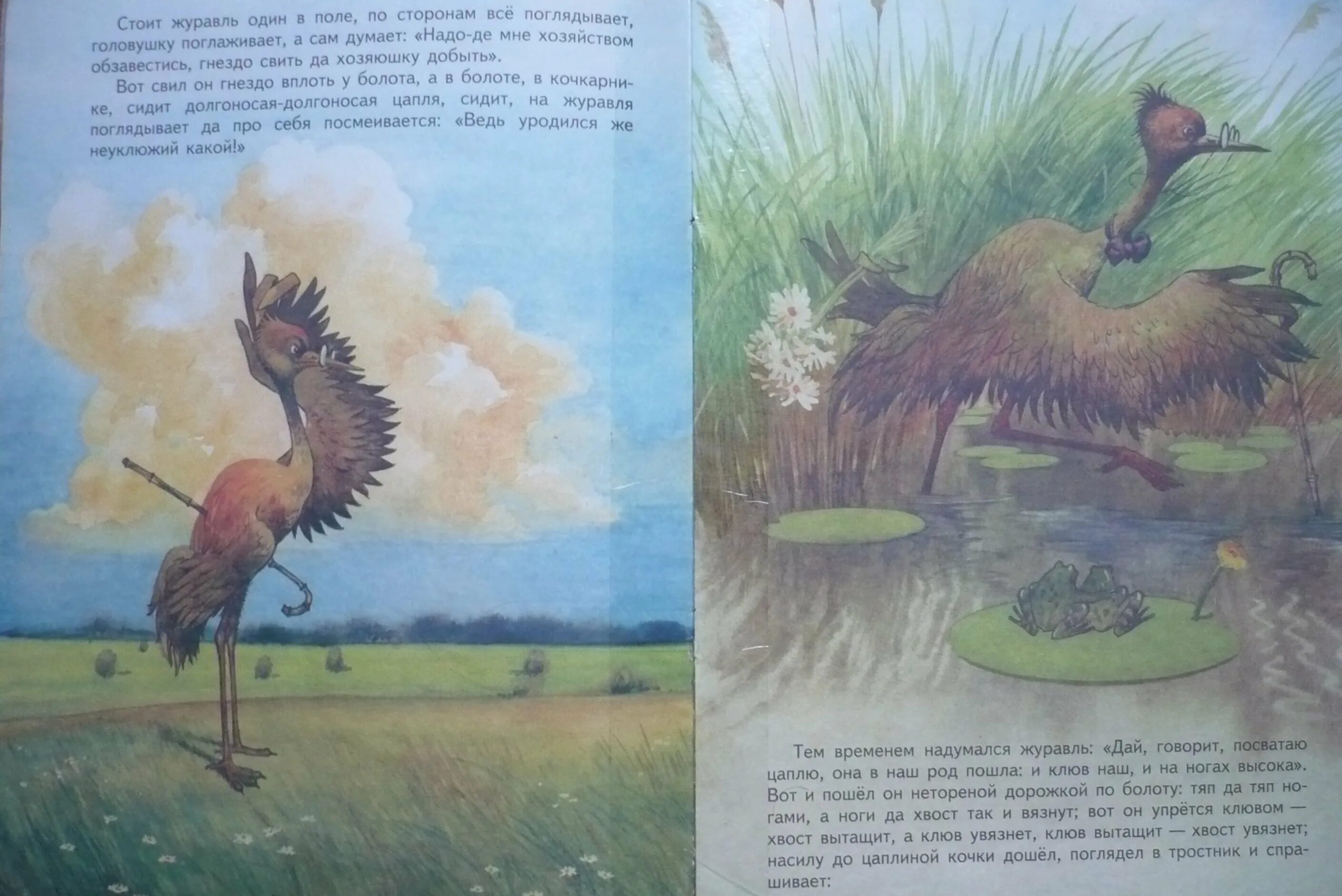 Сказка журавль и цапля читать. Журавль сказка. журавль и цапля русская народная сказка. журавль и цапля 1 вопрос. журавль и цапля ответы на вопросы.