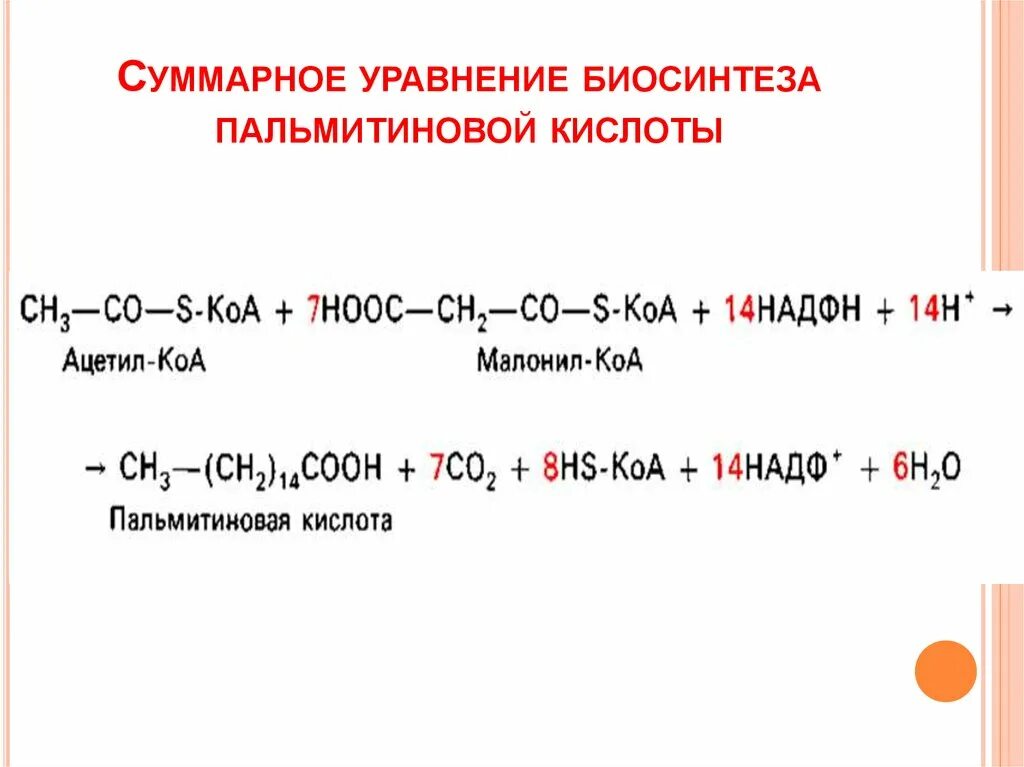 Синтез пальмитиновой кислоты. Синтез пальмитиновой кислоты из малонил КОА. Суммарное уравнение синтеза жирных кислот. Уравнение синтеза пальмитиновой кислоты. Синтез пальмитиновой кислоты из ацетил КОА.