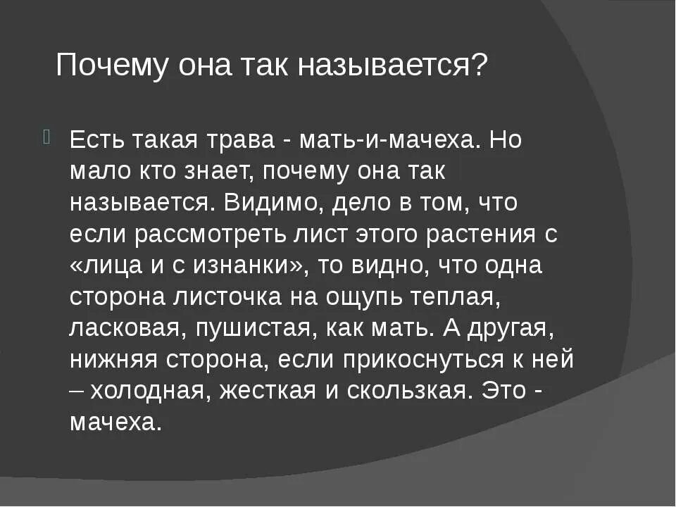 Кому царица приказала отвести царевну в лес. Мать и мачеха первые весенние цветы. Информация о цветке мать и мачеха. Кто такая мачеха. Сложноцветные мать и мачеха.