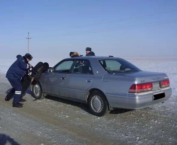 Погода в п светлом. Поселок светлый Оренбургская область. Светлый Оренбургская область Светлинский район. Посёлок светлый Оренбургская область Светлинский район. РП светлый Светлинский район.