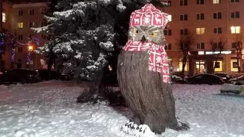Филин брянск